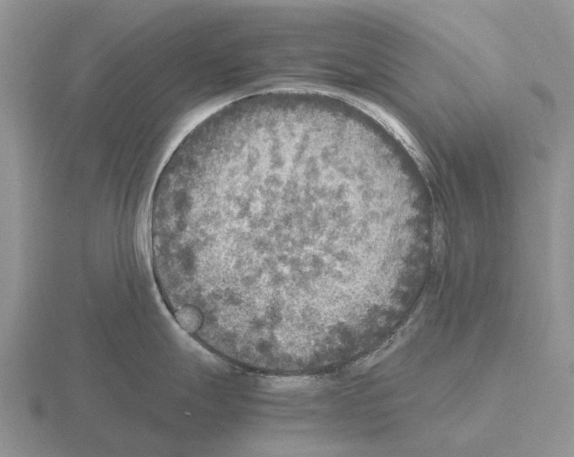 X0000115441247200912161448