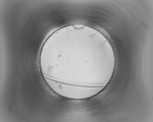 X0000115441248200912161448