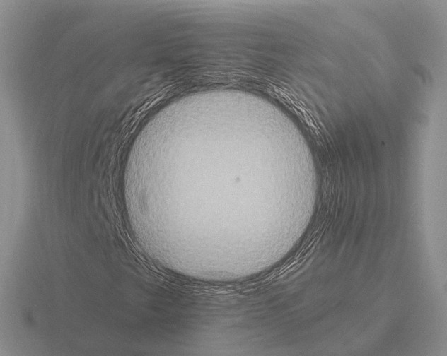 X0000115441249200912161447