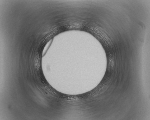 X0000115441250200912161447