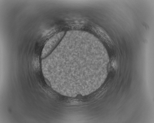 X0000115441252200912161447