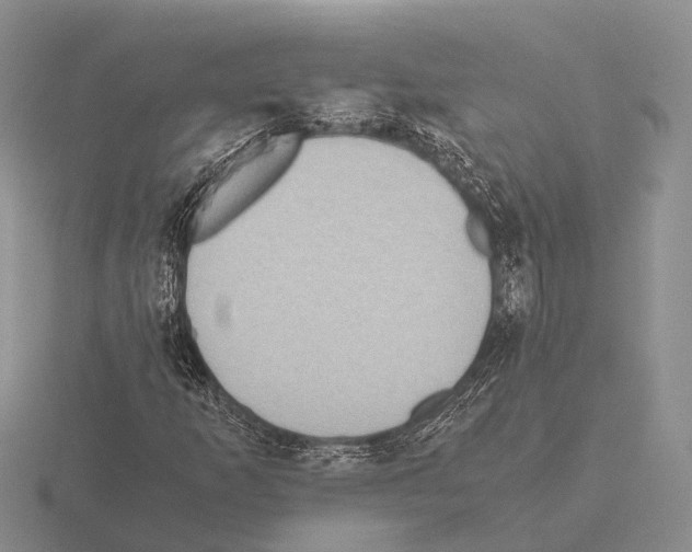 X0000115441253200912161447