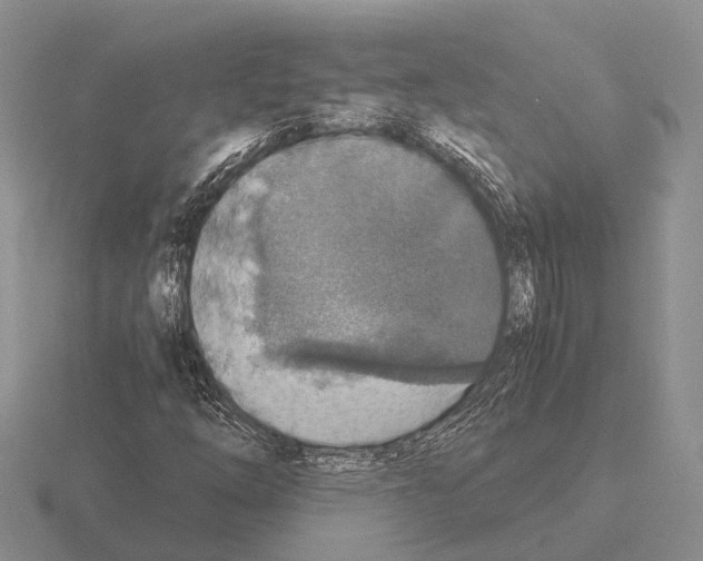 X0000115441254200912161447