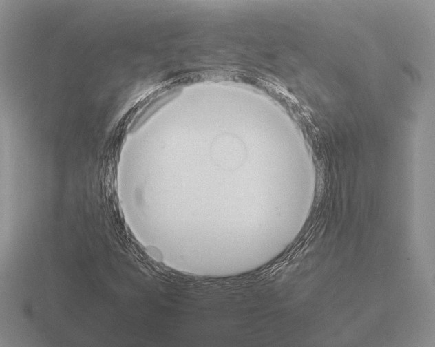 X0000115441255200912161447