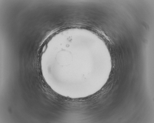 X0000115441256200912161447