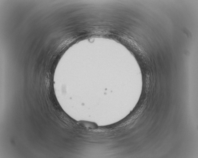 X0000115441257200912161447