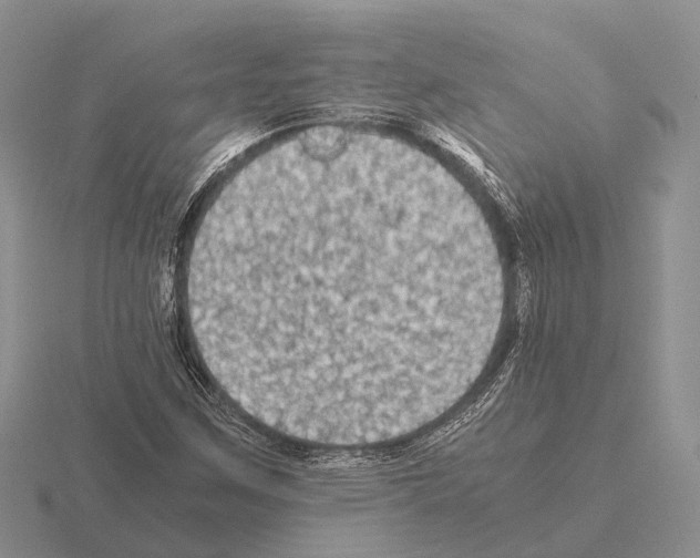 X0000115441259200912161447