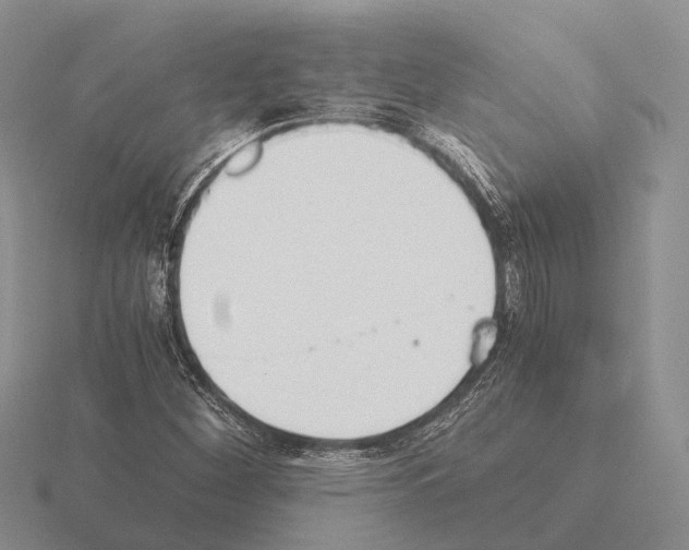 X0000115441260200912161447