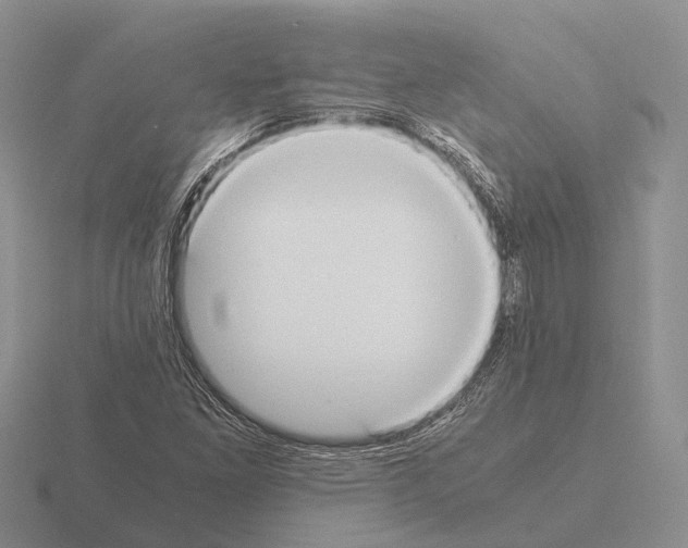 X0000115441261200912161447