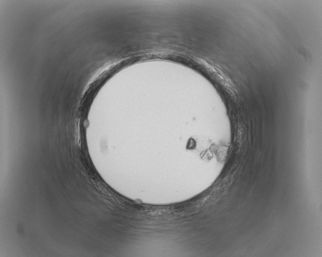 X0000115441262200912161447