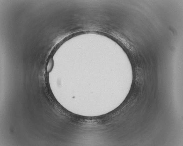 X0000115441264200912161447