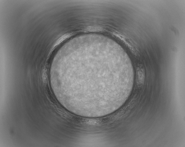 X0000115441266200912161447