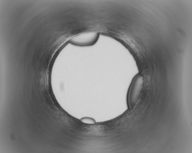 X0000115441268200912161447