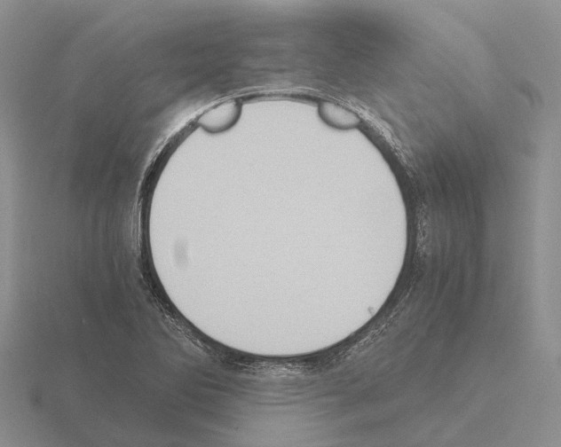 X0000115441270200912161447