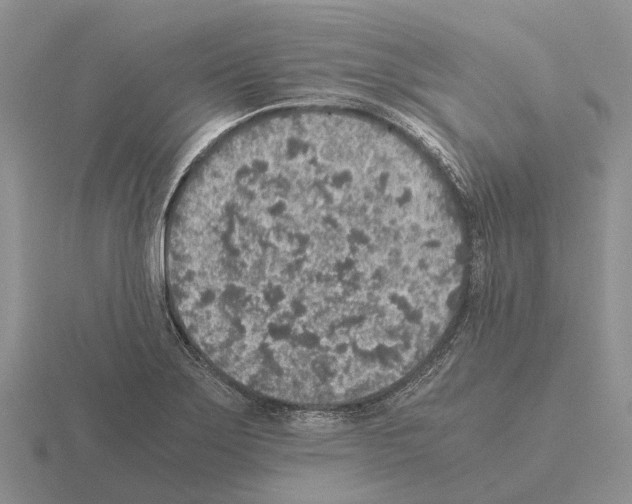 X0000115441275200912161447