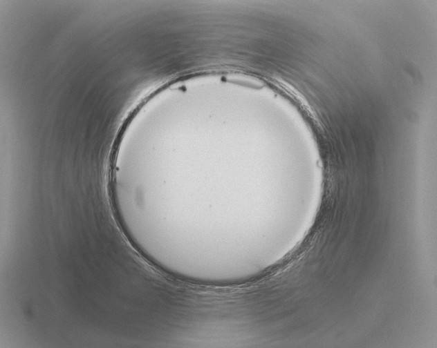 X0000115441277200912161447