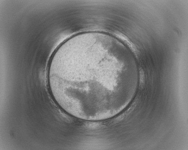 X0000115441278200912161447