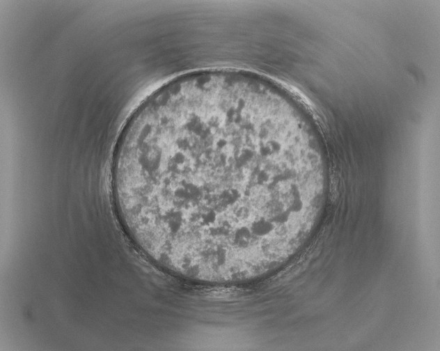 X0000115441279200912161447