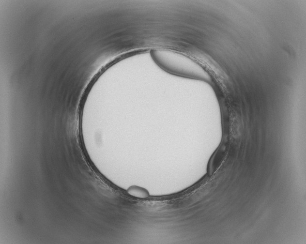 X0000115441280200912161447