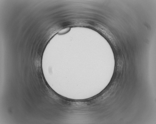 X0000115441281200912161447