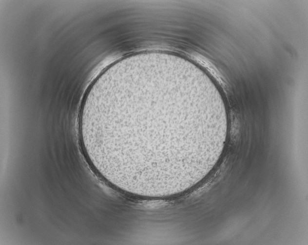 X0000115441282200912161447