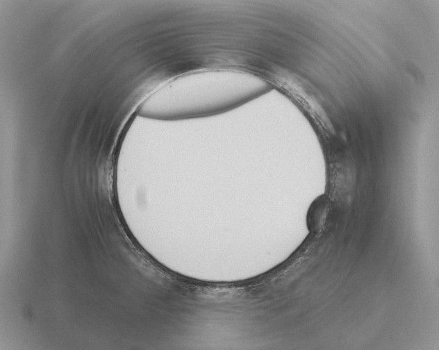 X0000115441284200912161447