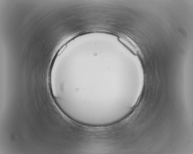 X0000115441285200912161447