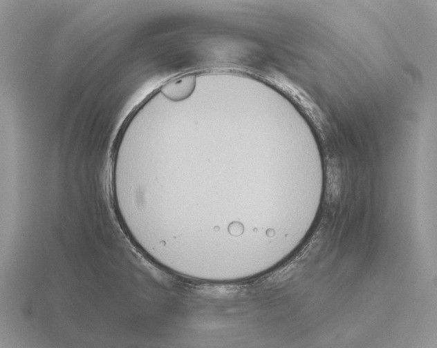 X0000115441286200912161447