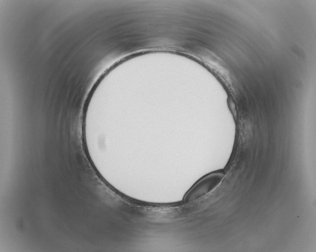 X0000115441288200912161447