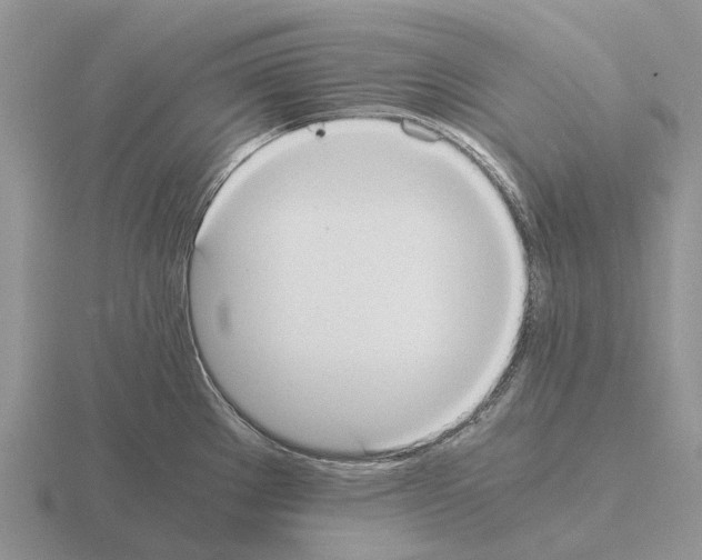 X0000115441289200912161447