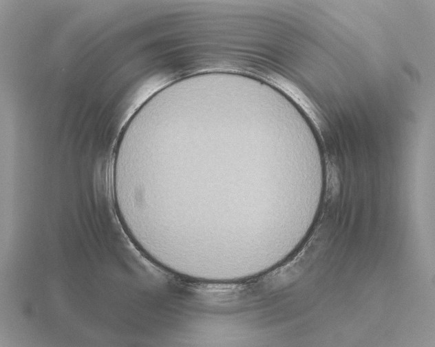 X0000115441290200912161447