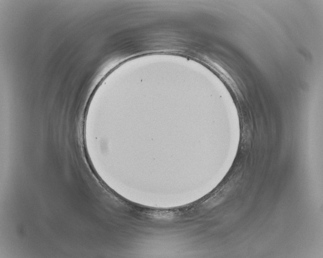 X0000115441291200912161446