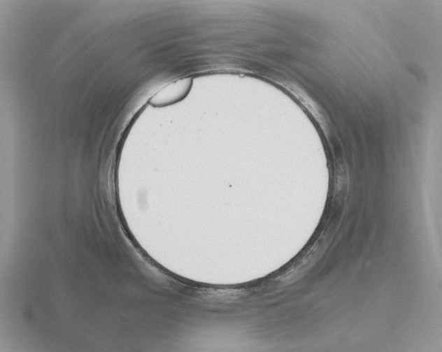 X0000115441293200912161446