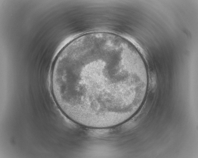 X0000115441294200912161446