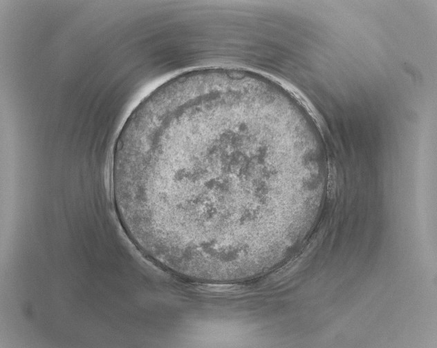 X0000115441295200912161446