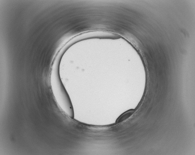 X0000115441296200912161446