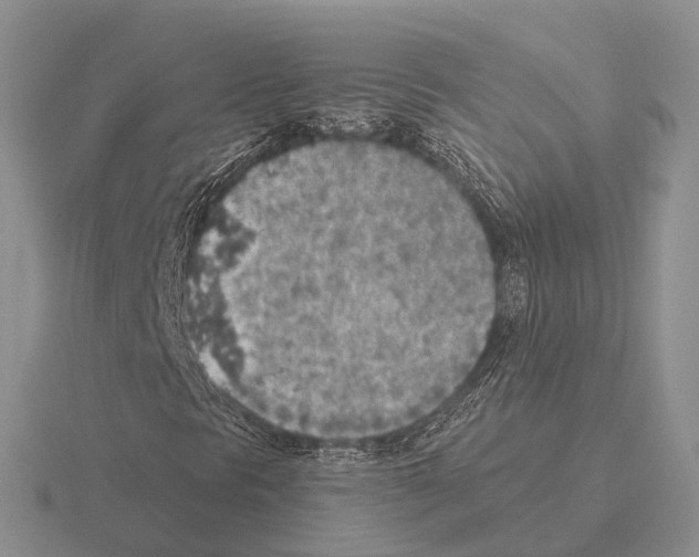 X0000115441297200912161446