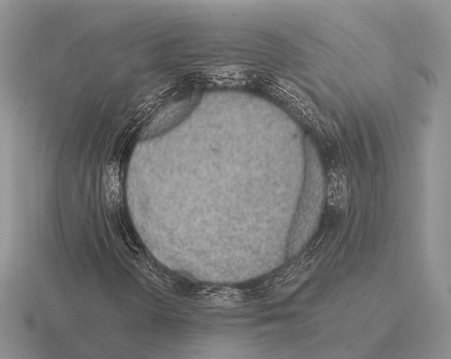 X0000115441298200912161446