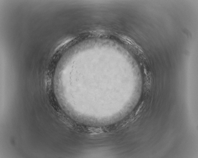 X0000115441302200912161446