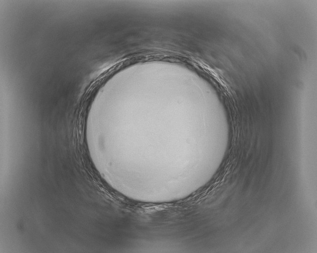 X0000115441303200912161446