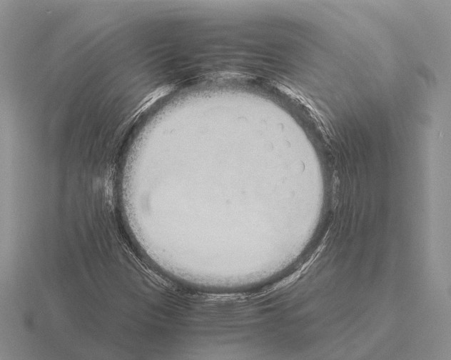 X0000115441305200912161446