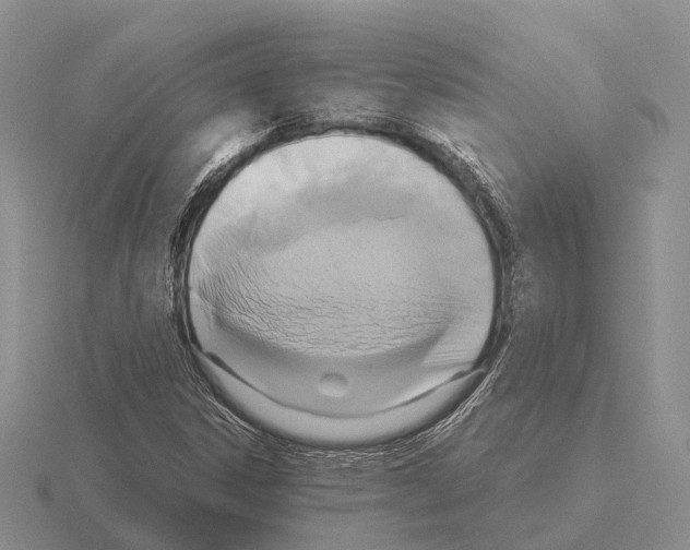 X0000115441306200912161446