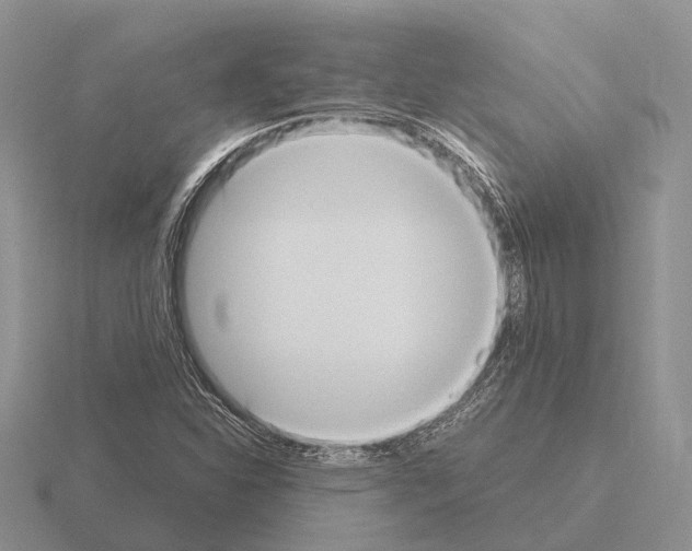 X0000115441310200912161446