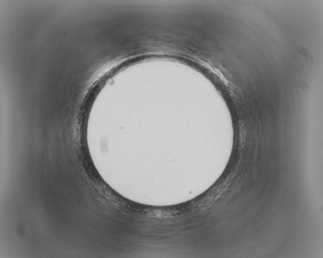 X0000115441311200912161446