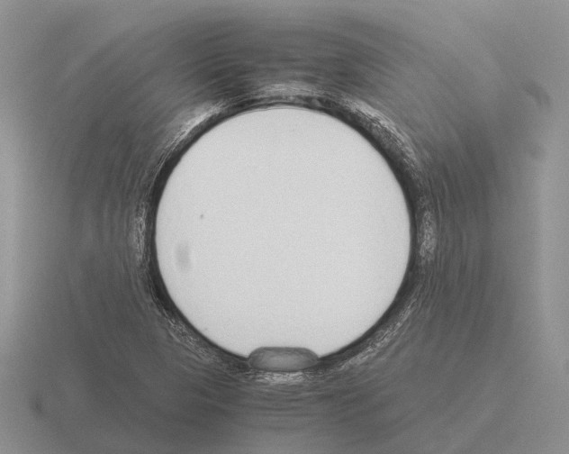 X0000115441313200912161446