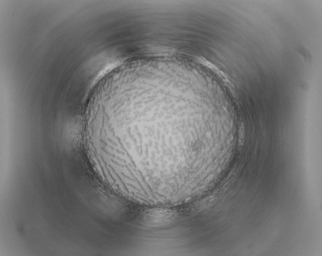 X0000115441314200912161446