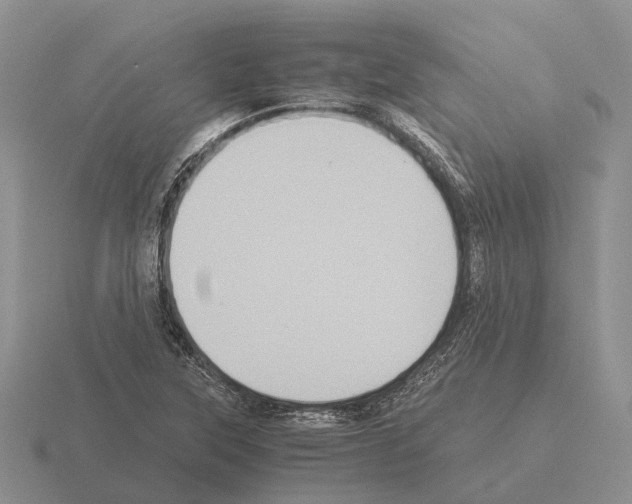 X0000115441315200912161446