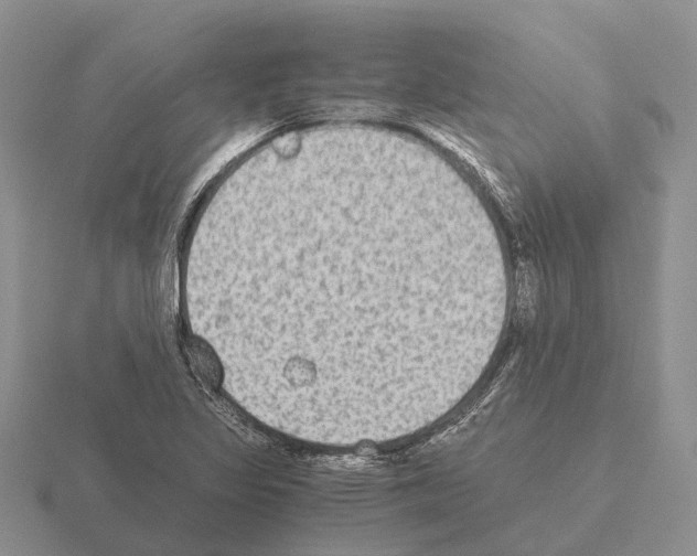 X0000115441317200912161446