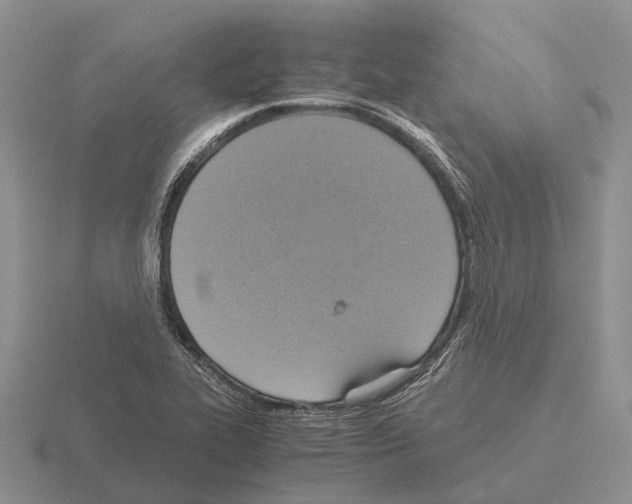 X0000115441319200912161446