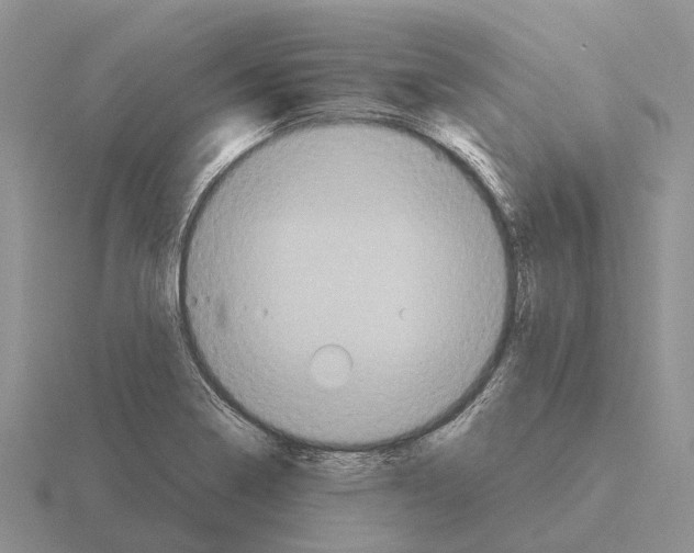 X0000115441322200912161446